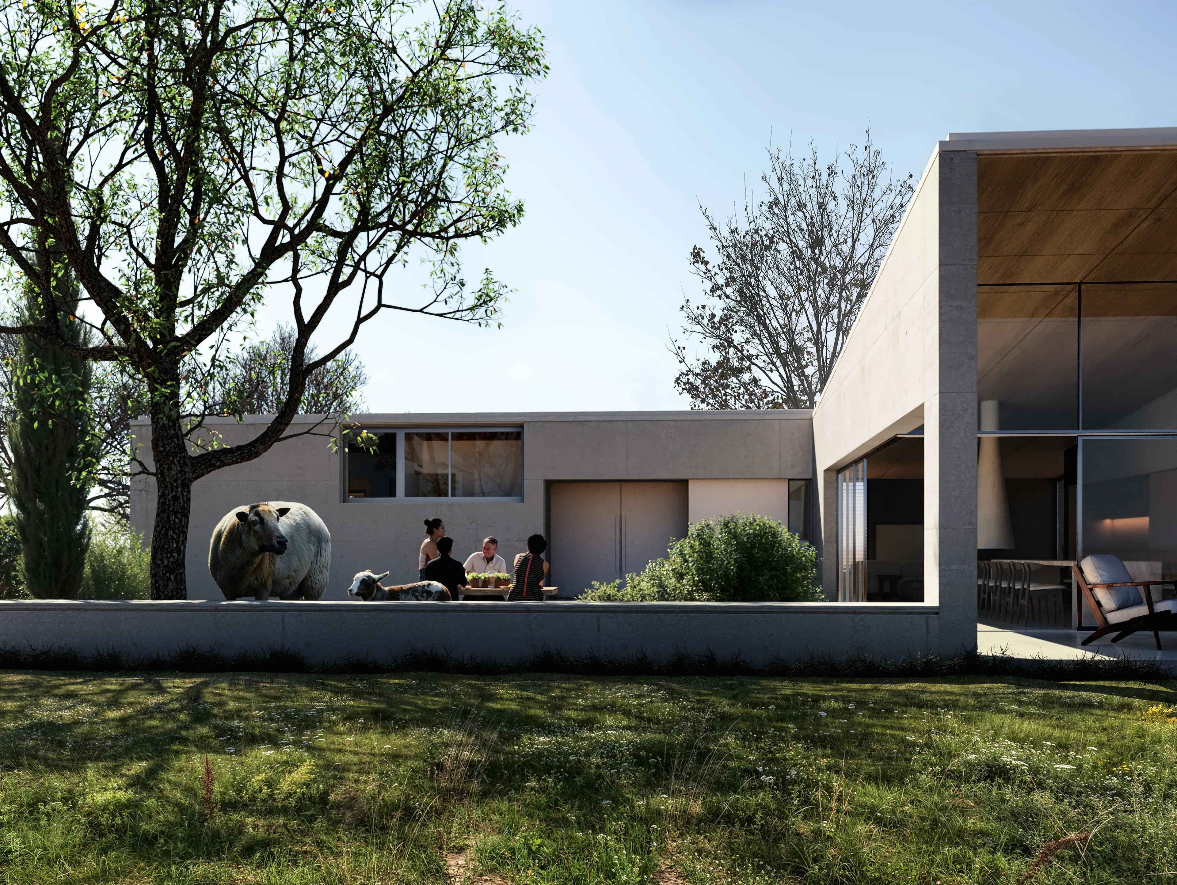 Proyecto 5